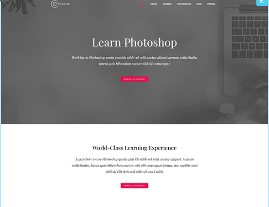 ecourse-website-we design